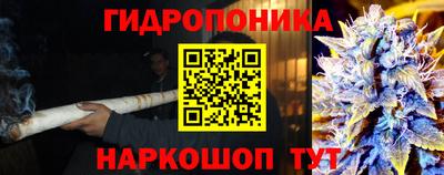 шишки Бузулук