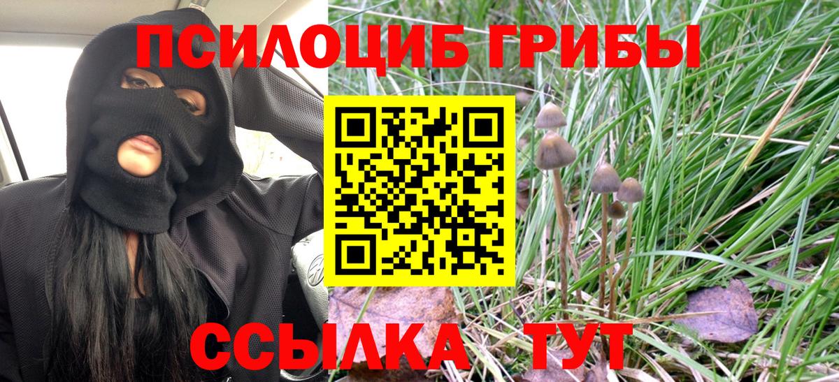 Галлюциногенные грибы MAGIC MUSHROOMS  Вход с VPN  Сочи  Псилоцибиновые грибы Psilocybe 